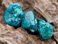 Polished Dioptase Free Forms x 35 From Likasi, Congo