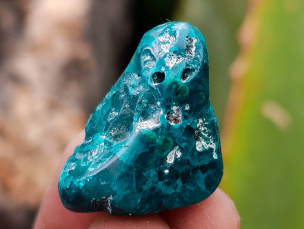 Polished Dioptase Free Forms x 35 From Likasi, Congo