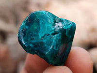 Polished Dioptase Free Forms x 35 From Likasi, Congo
