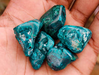 Polished Dioptase Free Forms x 35 From Likasi, Congo