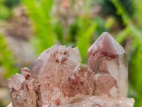 Natural Red Hematoid Quartz Clusters x 6 From Karoi, Zimbabwe