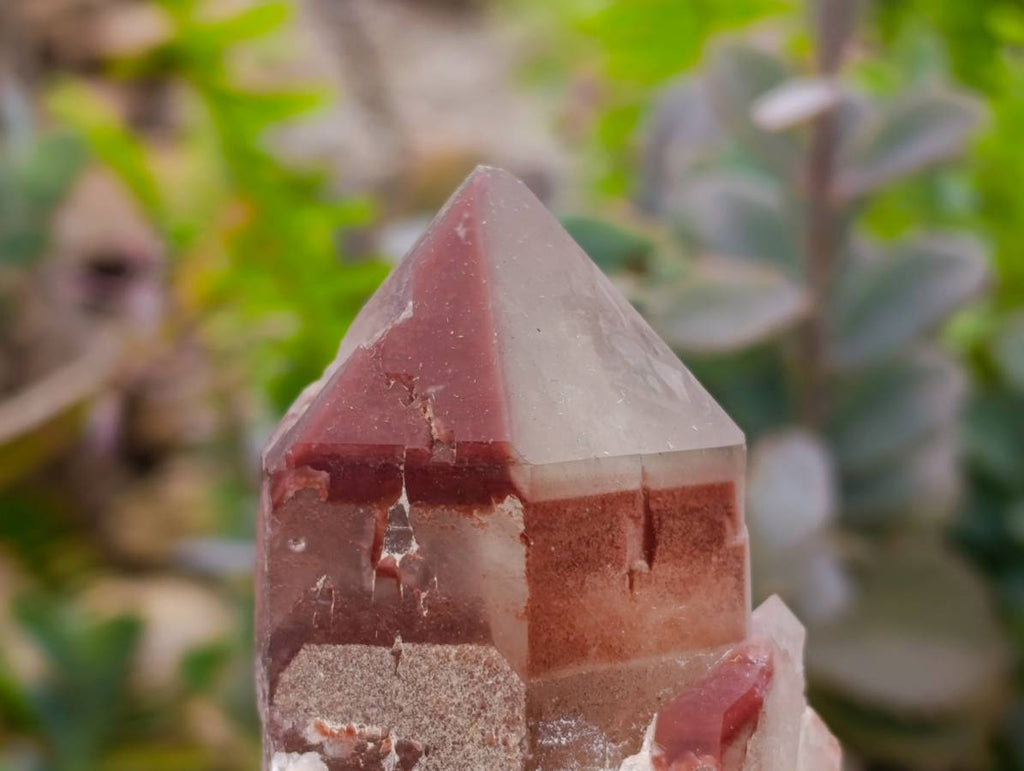 Natural Red Hematoid Quartz Clusters x 6 From Karoi, Zimbabwe
