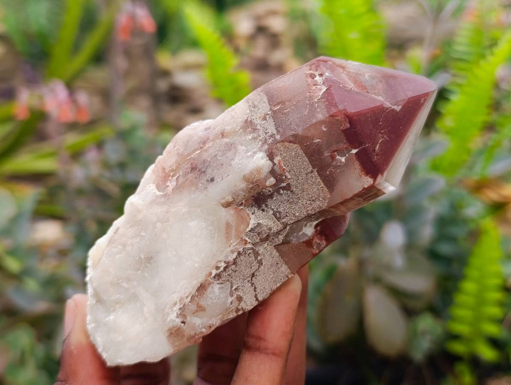 Natural Red Hematoid Quartz Clusters x 6 From Karoi, Zimbabwe