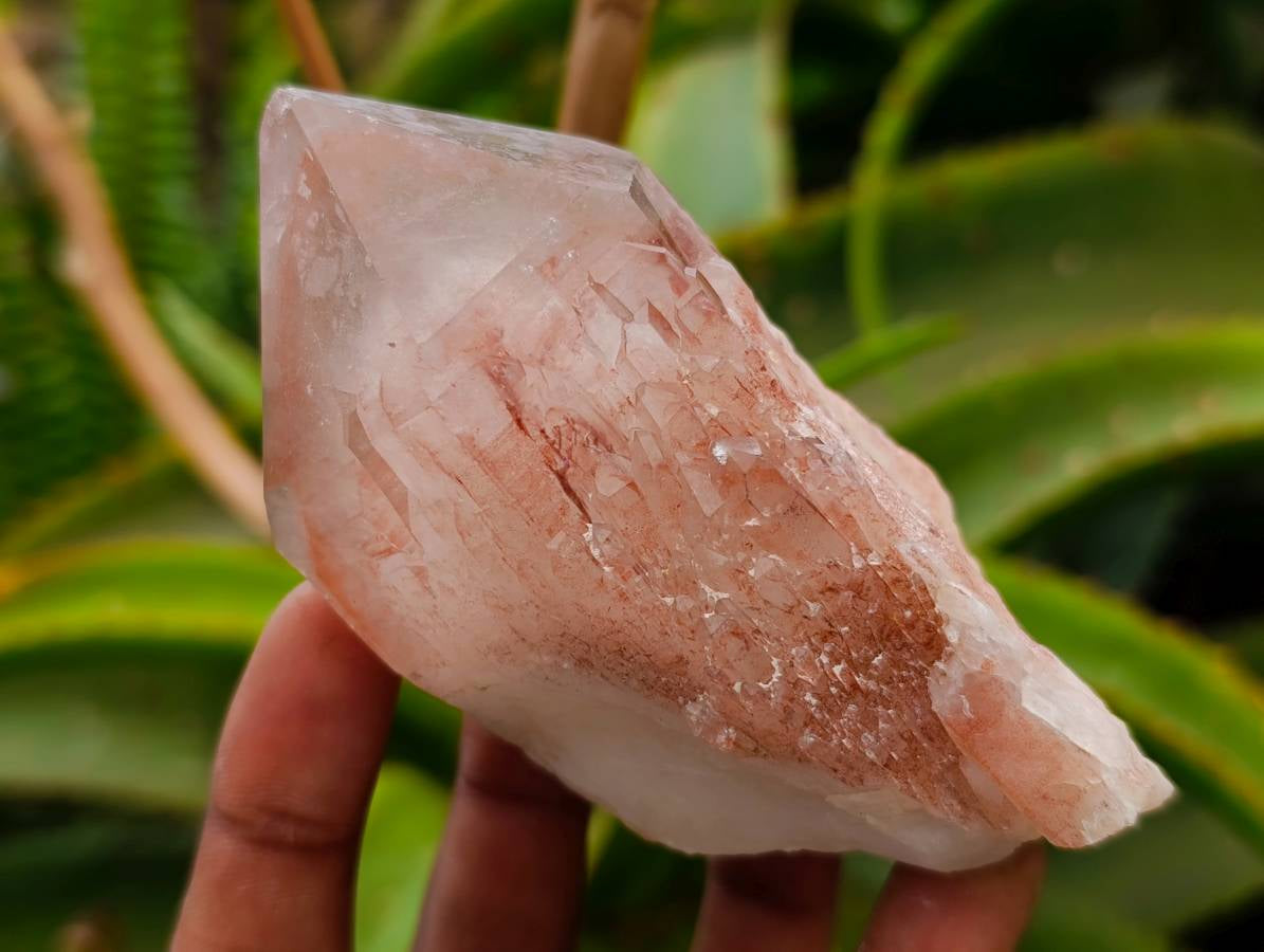 Natural Red Hematoid Quartz Clusters x 6 From Karoi, Zimbabwe