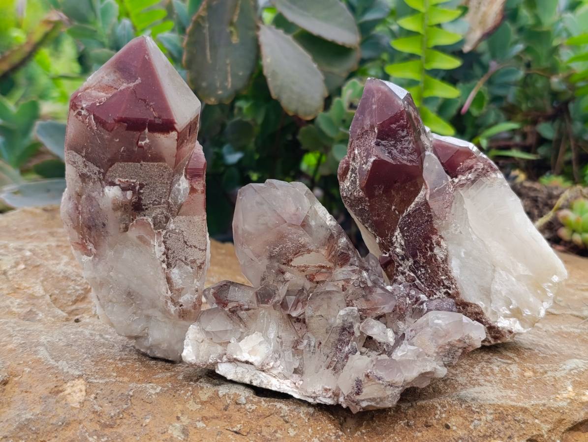 Natural Red Hematoid Quartz Clusters x 6 From Karoi, Zimbabwe