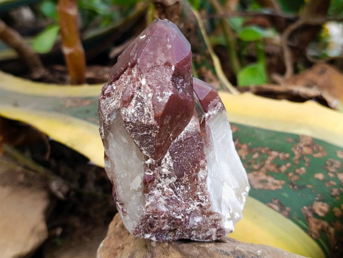 Natural Red Hematoid Quartz Clusters x 6 From Karoi, Zimbabwe