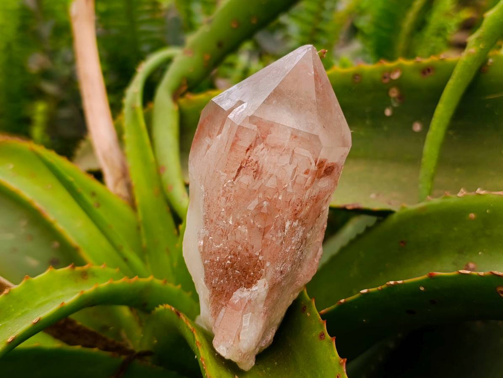 Natural Red Hematoid Quartz Clusters x 6 From Karoi, Zimbabwe