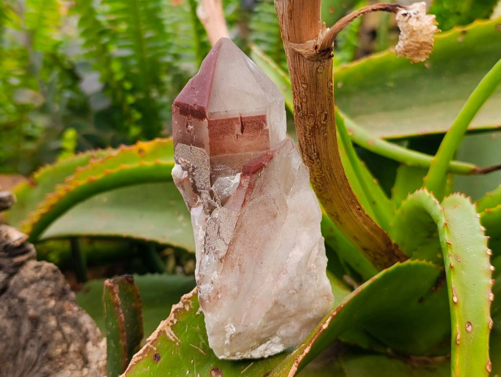 Natural Red Hematoid Quartz Clusters x 6 From Karoi, Zimbabwe
