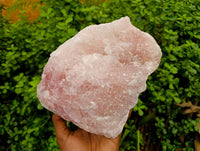 Natural Cobbed Rose Quartz Specimens x 2 From Northern Cape, South Africa