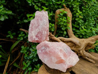 Natural Cobbed Rose Quartz Specimens x 2 From Northern Cape, South Africa