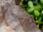 Natural Giant Smokey Amethyst Window Quartz Crystal x 1 From Brandberg, Namibia