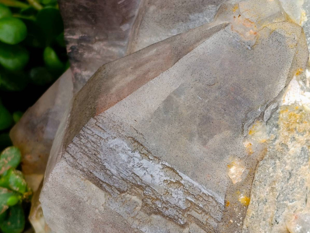 Natural Giant Smokey Amethyst Window Quartz Crystal x 1 From Brandberg, Namibia