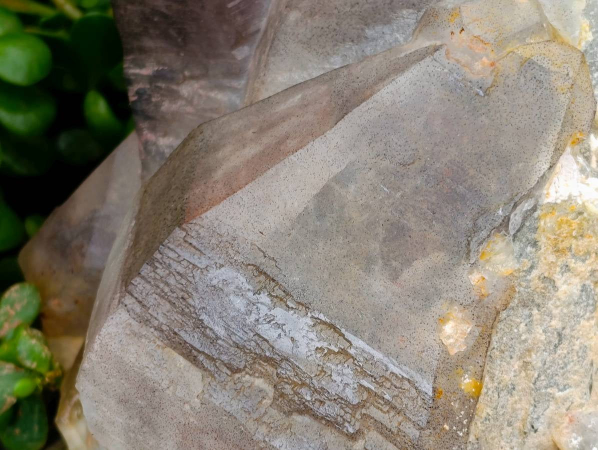 Natural Giant Smokey Amethyst Window Quartz Crystal x 1 From Brandberg, Namibia