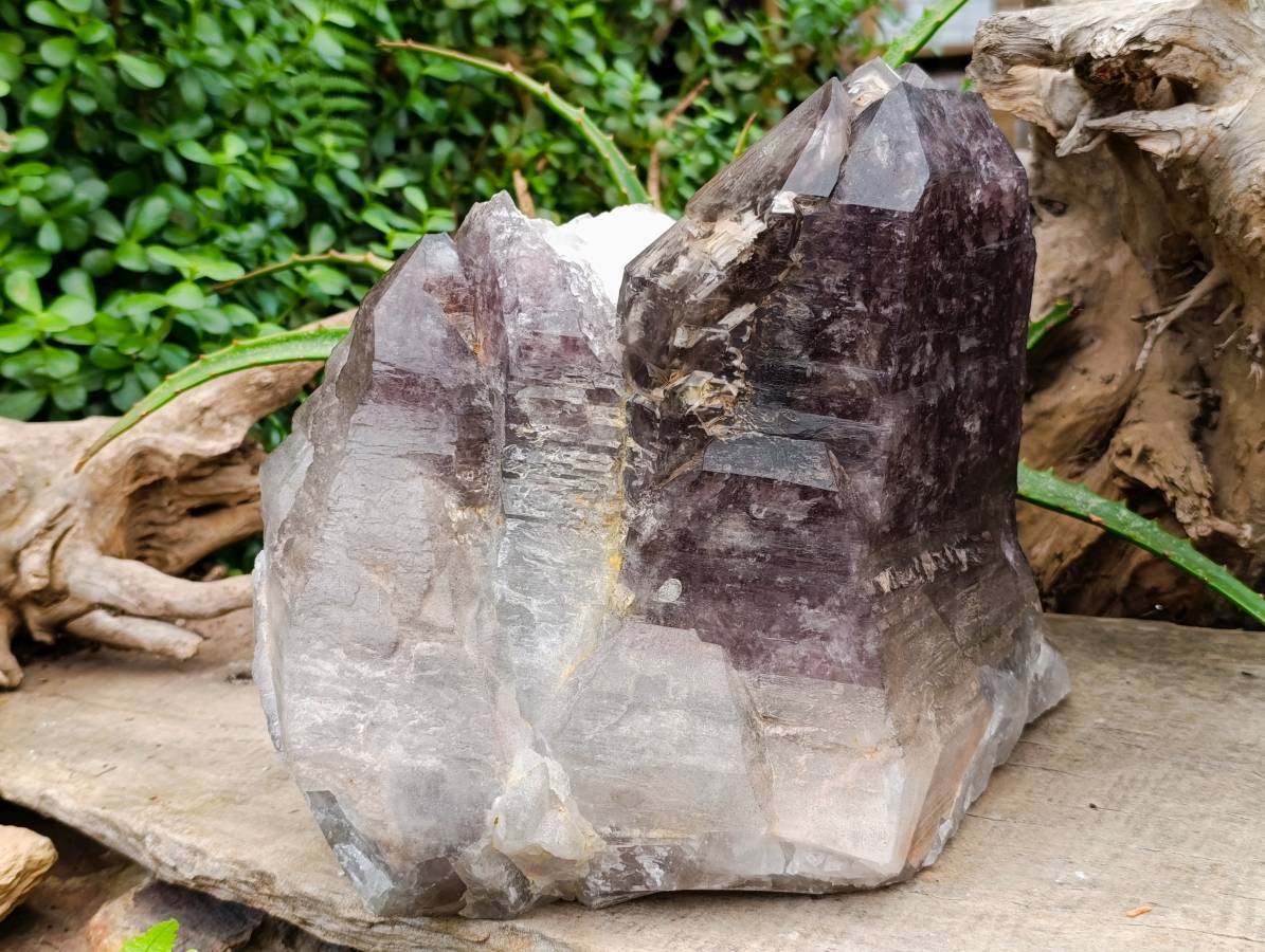 Natural Giant Smokey Amethyst Window Quartz Crystal x 1 From Brandberg, Namibia