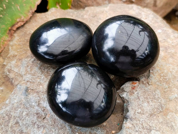 Polished Black Basalt Galets x 6 From Madagascar