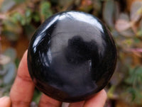 Polished Black Basalt Galets x 6 From Madagascar