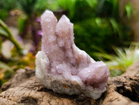 Natural Amethyst and Ametrine Spirit Clusters x 6 From Boekenhouthoek, South Africa