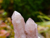 Natural Amethyst and Ametrine Spirit Clusters x 6 From Boekenhouthoek, South Africa