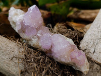 Natural Amethyst and Ametrine Spirit Clusters x 6 From Boekenhouthoek, South Africa