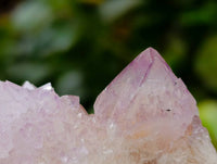 Natural Amethyst and Ametrine Spirit Clusters x 6 From Boekenhouthoek, South Africa