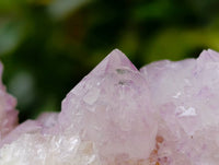Natural Amethyst and Ametrine Spirit Clusters x 6 From Boekenhouthoek, South Africa