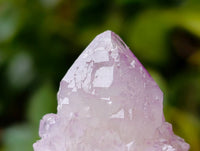 Natural Amethyst and Ametrine Spirit Clusters x 6 From Boekenhouthoek, South Africa