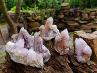Natural Amethyst and Ametrine Spirit Clusters x 6 From Boekenhouthoek, South Africa