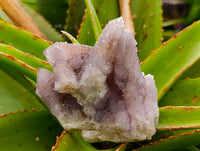 Natural Amethyst and Ametrine Spirit Clusters x 6 From Boekenhouthoek, South Africa