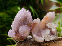 Natural Amethyst and Ametrine Spirit Clusters x 6 From Boekenhouthoek, South Africa