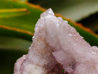 Natural Amethyst and Ametrine Spirit Clusters x 6 From Boekenhouthoek, South Africa