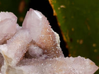Natural Amethyst and Ametrine Spirit Clusters x 6 From Boekenhouthoek, South Africa