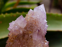 Natural Amethyst and Ametrine Spirit Clusters x 6 From Boekenhouthoek, South Africa