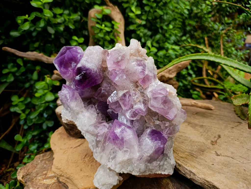 Natural XL Jacaranda Amethyst Quartz Crystal Cluster x 1 From Mumbwa, Zambia