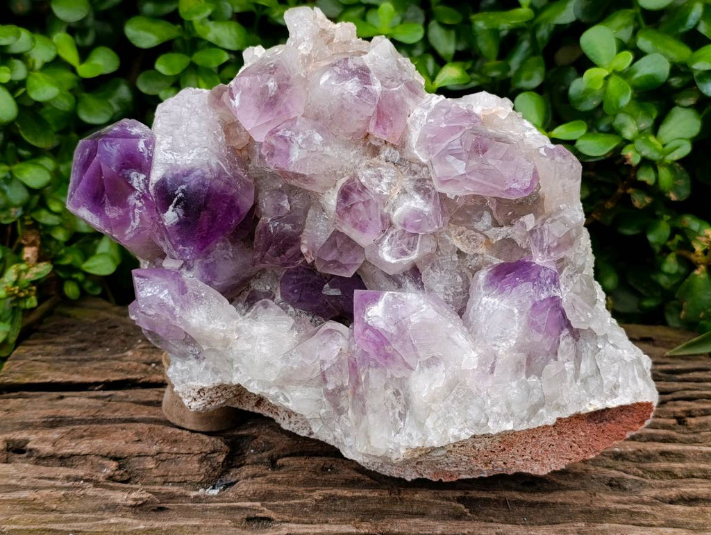 Natural XL Jacaranda Amethyst Quartz Crystal Cluster x 1 From Mumbwa, Zambia