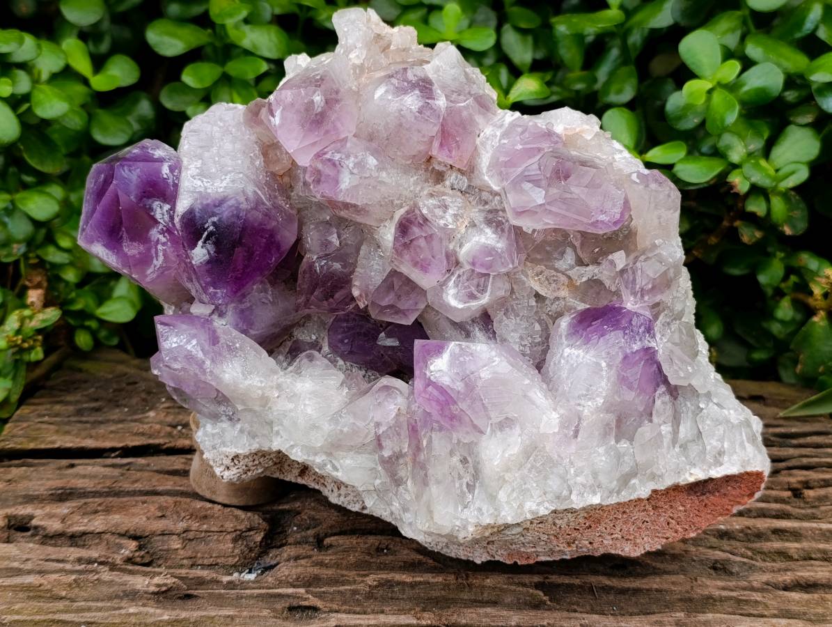 Natural XL Jacaranda Amethyst Quartz Crystal Cluster x 1 From Mumbwa, Zambia