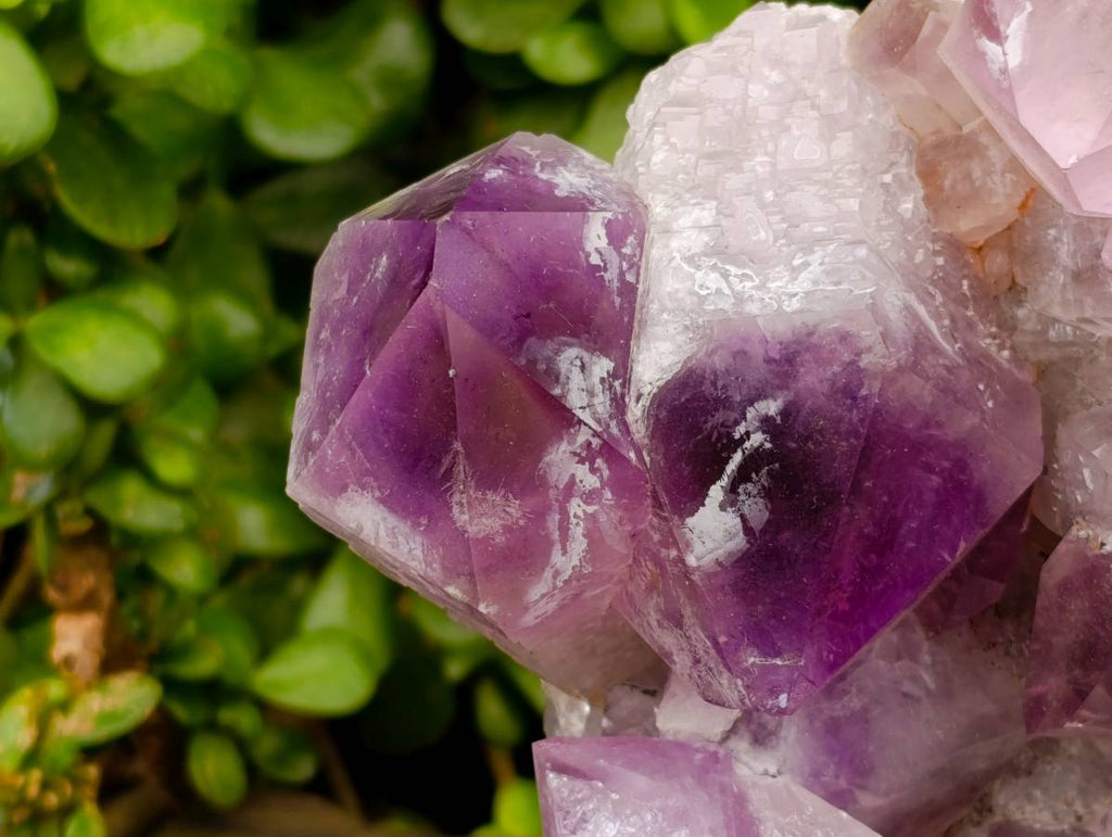 Natural XL Jacaranda Amethyst Quartz Crystal Cluster x 1 From Mumbwa, Zambia