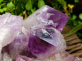 Natural XL Jacaranda Amethyst Quartz Crystal Cluster x 1 From Mumbwa, Zambia