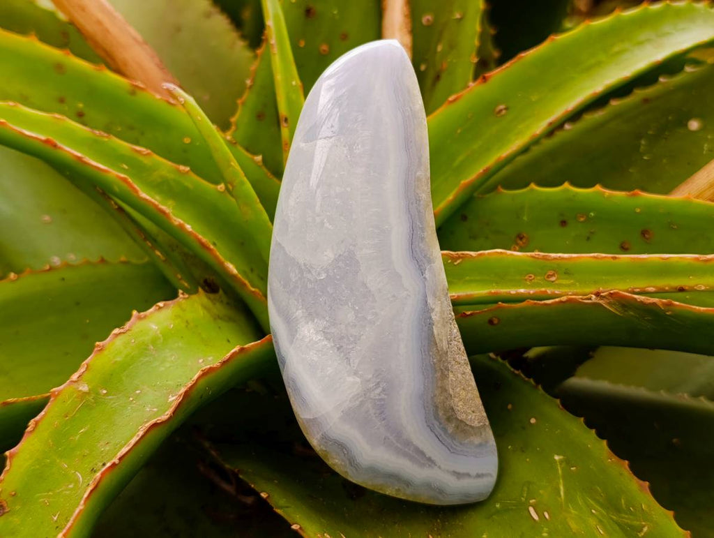 Polished Blue Lace Agate Free Forms x 3 From Nsanje, Malawi