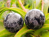 Polished Large Gabbro 'Merlinite' Spheres x 2 From Madagascar