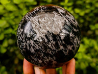 Polished Large Gabbro 'Merlinite' Spheres x 2 From Madagascar