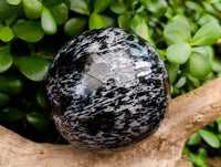 Polished Large Gabbro 'Merlinite' Spheres x 2 From Madagascar