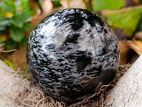 Polished Large Gabbro 'Merlinite' Spheres x 2 From Madagascar