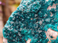 Natural Large Dioptase On White Dolomite Specimen x 1 From Likasi, Congo