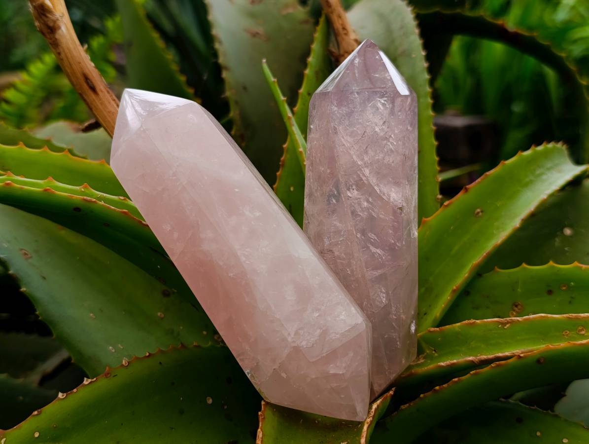 Polished Double Terminated Rose Quartz Crystals x 6 From Madagascar - Toprock Gemstones and Minerals 