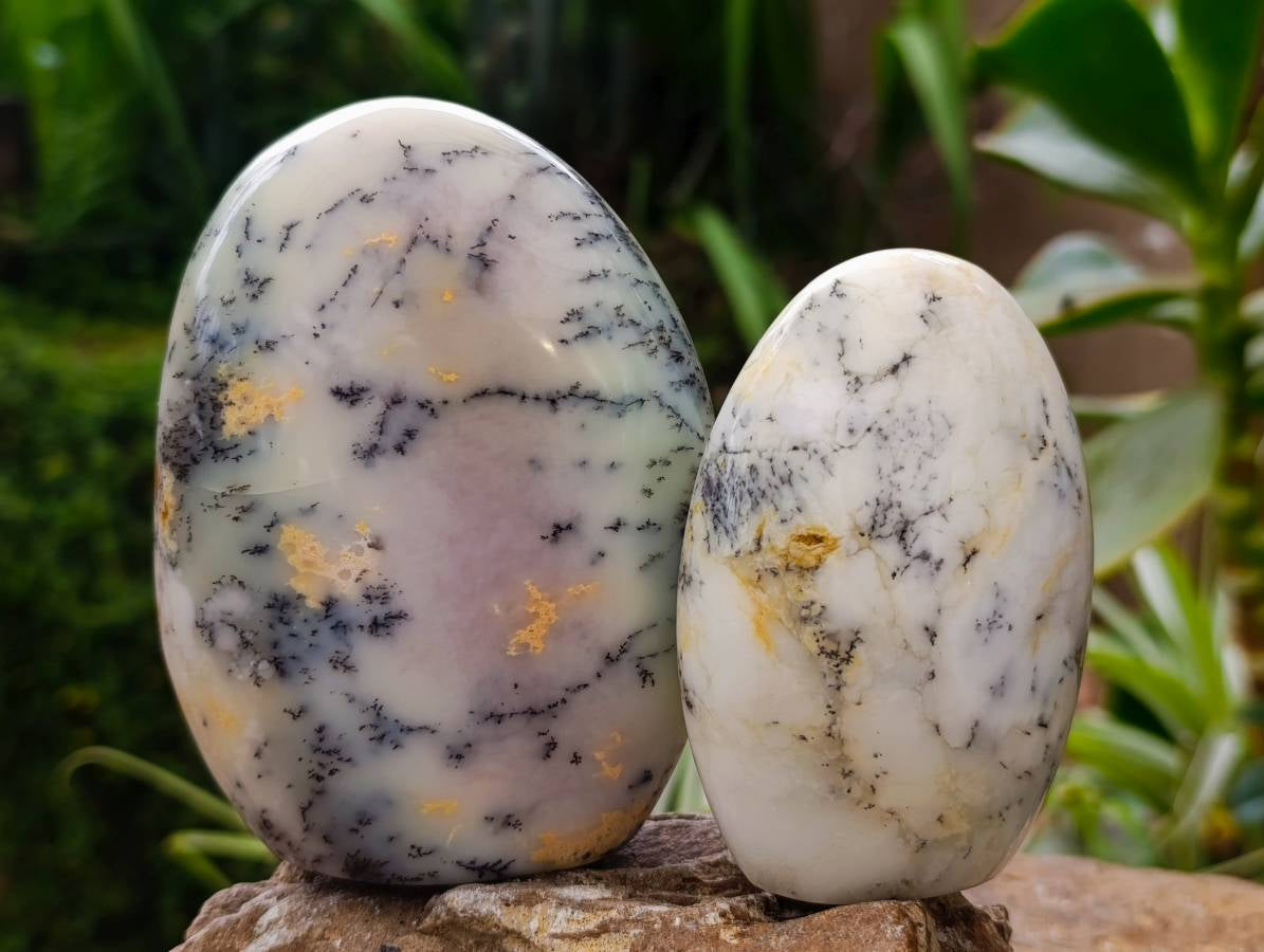Polished Dendritic White Opal Agate Standing Free Forms x 4 From Moralambo, Madagascar
