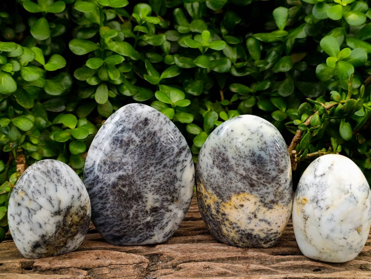 Polished Dendritic White Opal Agate Standing Free Forms x 4 From Moralambo, Madagascar