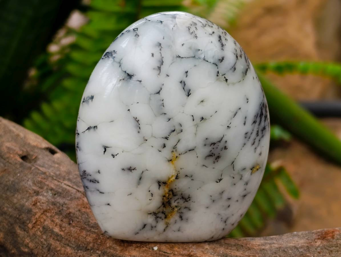 Polished Dendritic White Opal Agate Standing Free Forms x 4 From Moralambo, Madagascar