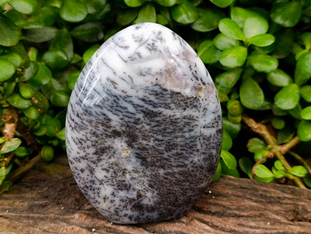 Polished Dendritic White Opal Agate Standing Free Forms x 4 From Moralambo, Madagascar