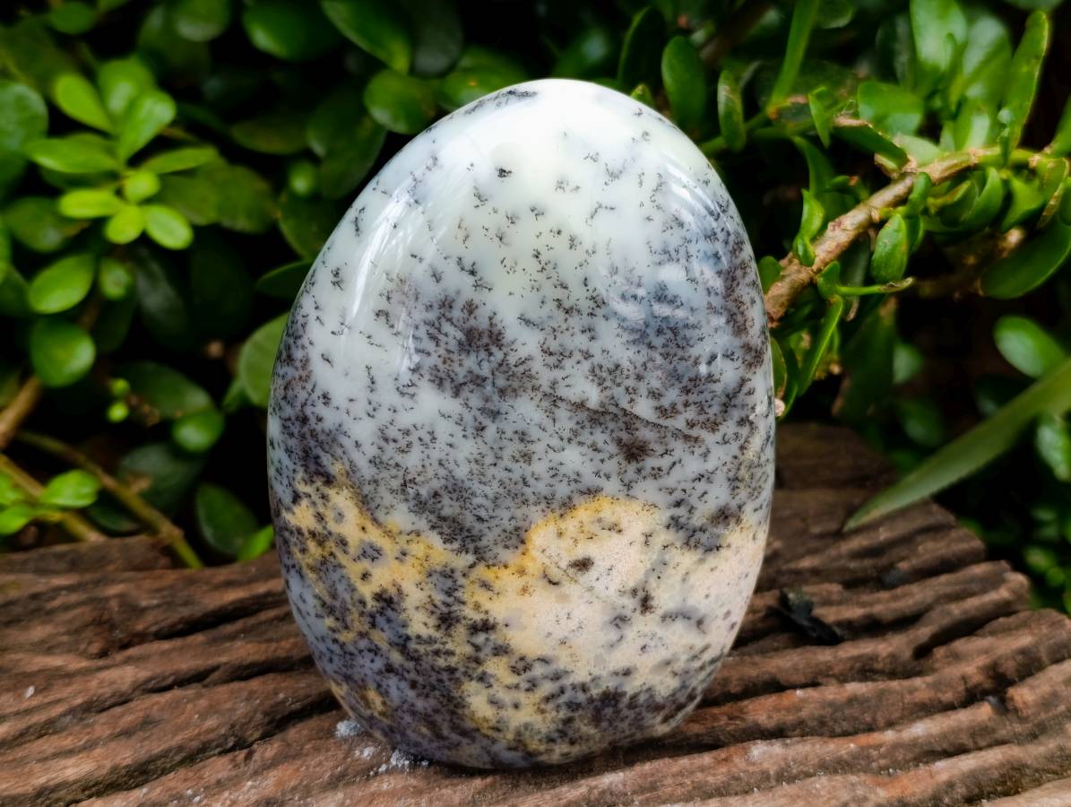 Polished Dendritic White Opal Agate Standing Free Forms x 4 From Moralambo, Madagascar