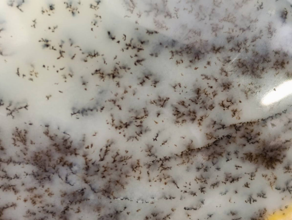 Polished Dendritic White Opal Agate Standing Free Forms x 4 From Moralambo, Madagascar